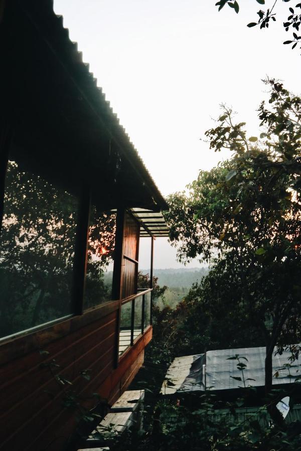 Amazonika Boutique Resort Arpora Exterior photo