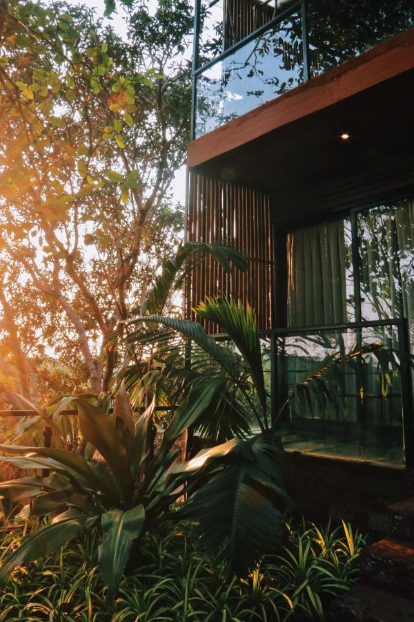 Amazonika Boutique Resort Arpora Exterior photo